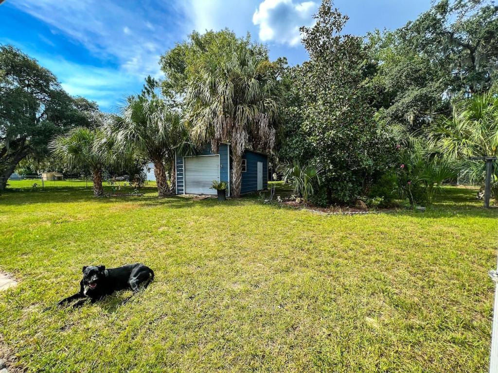 House Of Shells, Beautiful Garden, Fenced Yard, Dog Friendly, Fire Pit! Villa Crystal River Exteriör bild
