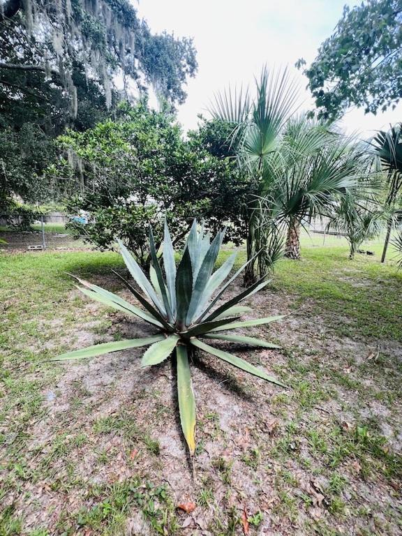 House Of Shells, Beautiful Garden, Fenced Yard, Dog Friendly, Fire Pit! Villa Crystal River Exteriör bild
